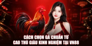 Cách Chọn Gà Chuẩn Từ Cao Thủ Giàu Kinh Nghiệm Tại VN88