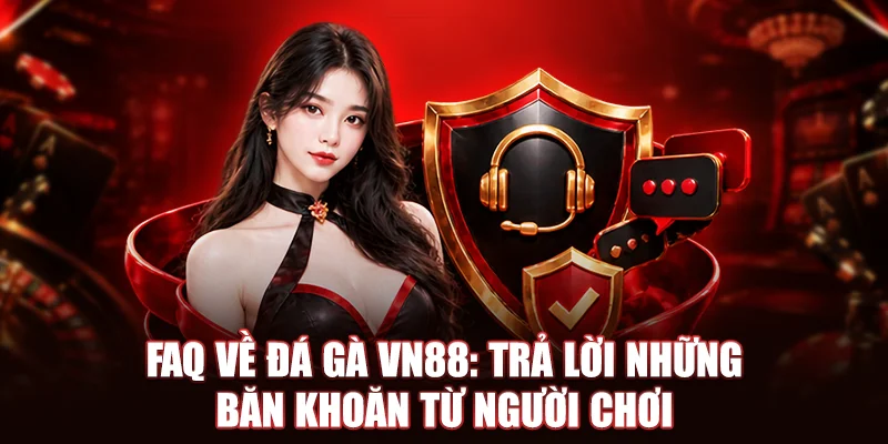 FAQ về Đá Gà VN88: Trả lời những băn khoăn từ người chơi
