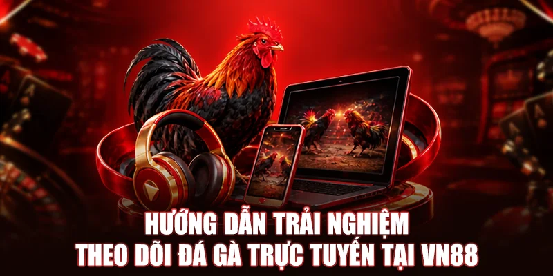 Hướng dẫn trải nghiệm theo dõi đá gà trực tuyến tại VN88